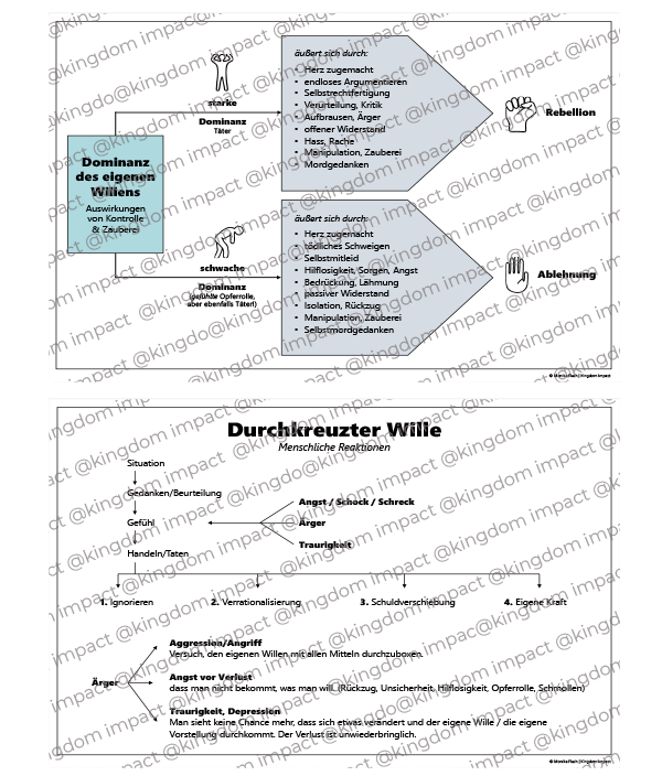 D14) Durchkreuzter Wille – Reaktionen & Dominanz des eigenen Willens