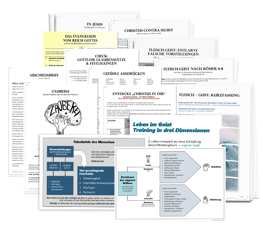 Themen-Set: Kategorie D – Fleisch-Geist-Training (Download)