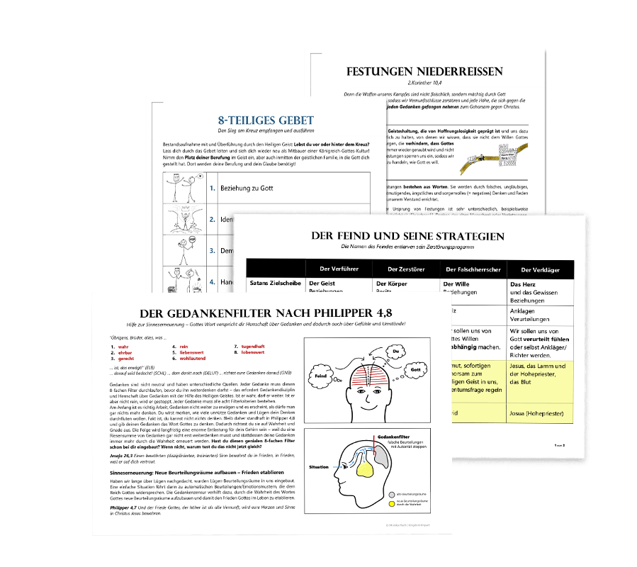Themen-Set: Kategorie E – Befreiung/Erneuerung – laminiert