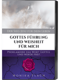 Gottes Führung und Weisheit für mich
