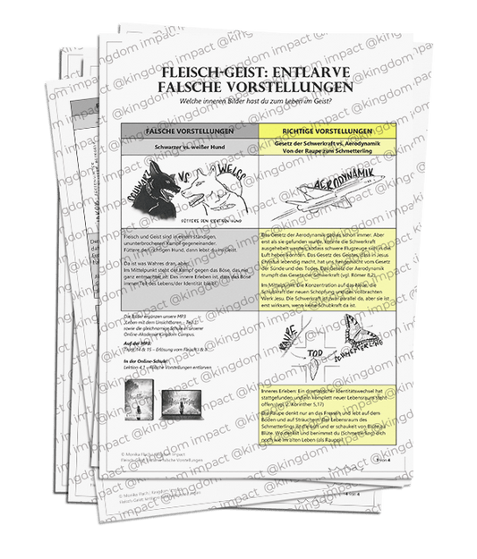 D03) Fleisch-Geist-Training mit Bildern – falsche Bilder entlarven