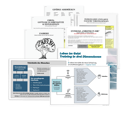 Themen-Set: Kategorie D – Fleisch-Geist-Training (laminiert)
