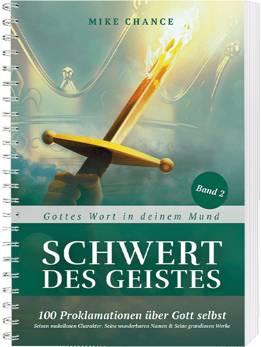 Schwert des Geistes - Band 2